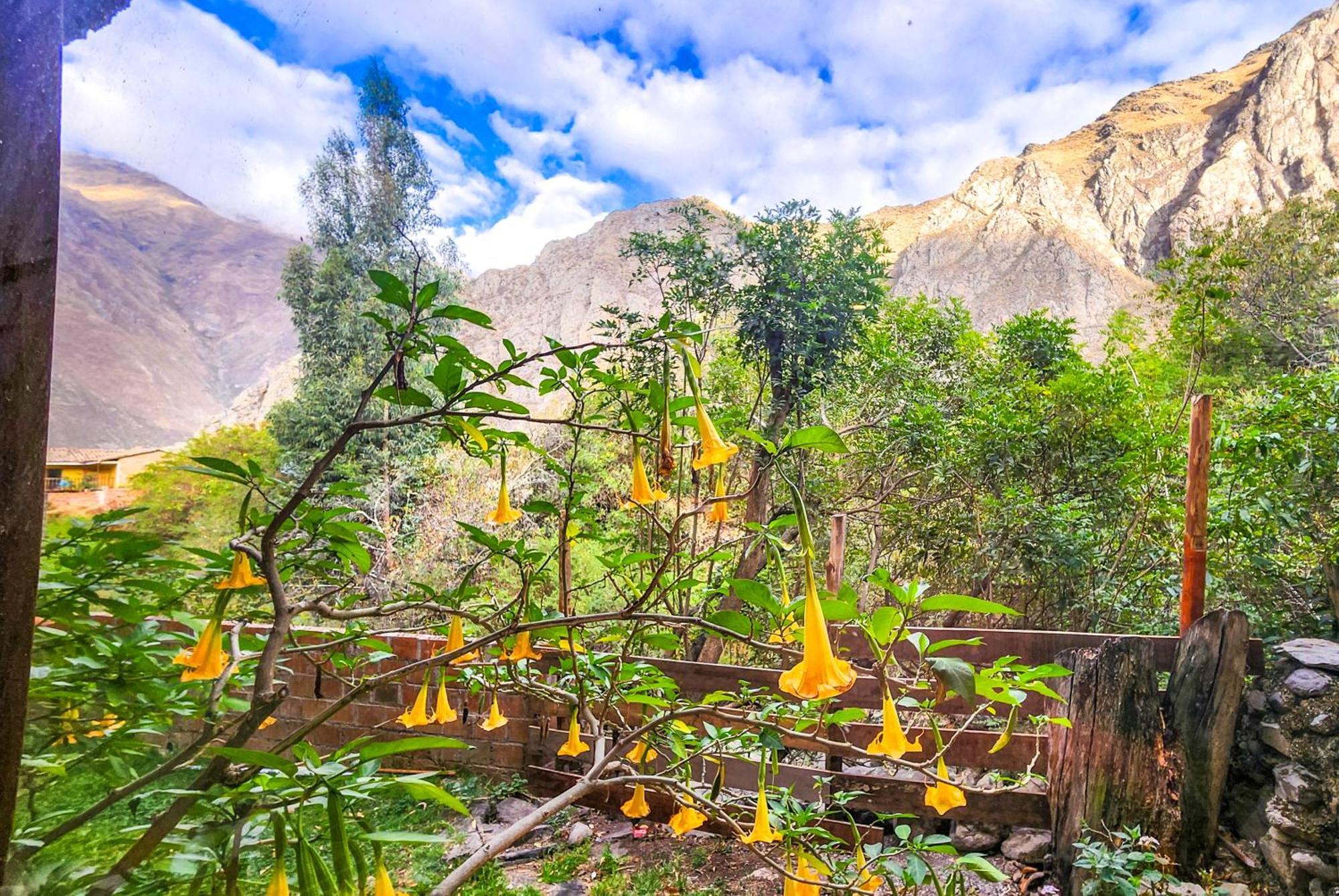 Peru Quechua'S Lodge Ollantaytambo Exterior foto